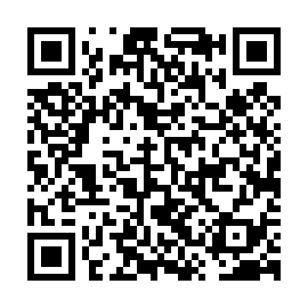 QR code for FST439