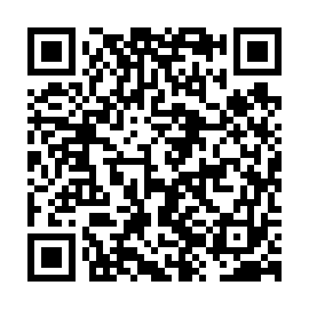 QR code for FZI673