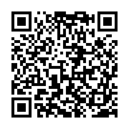 QR code for FZO963