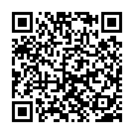 QR code for FZR739