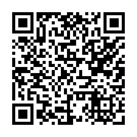 QR code for FZT838