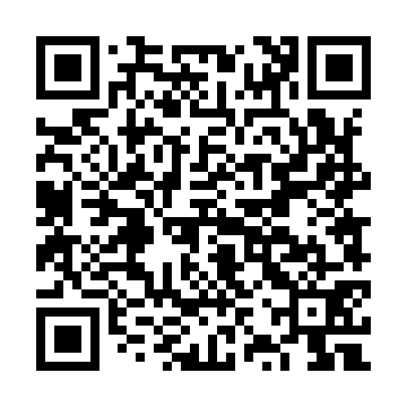 QR code for FZT971