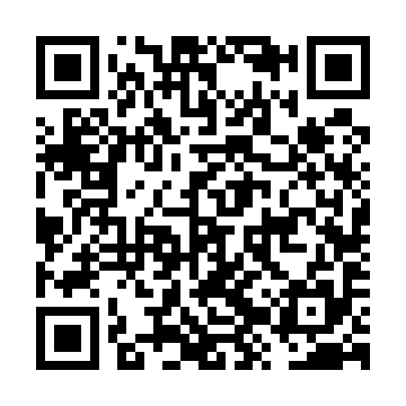 QR code for FZV595