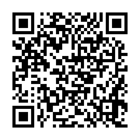 QR code for GAN976