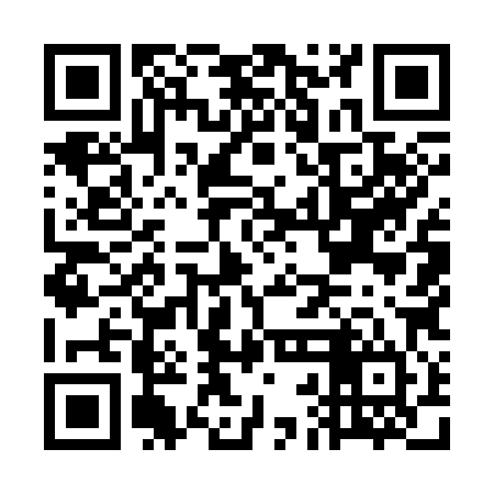 QR code for GBM384