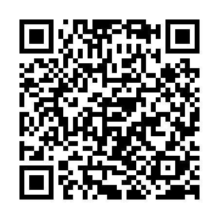 QR code for GIN228
