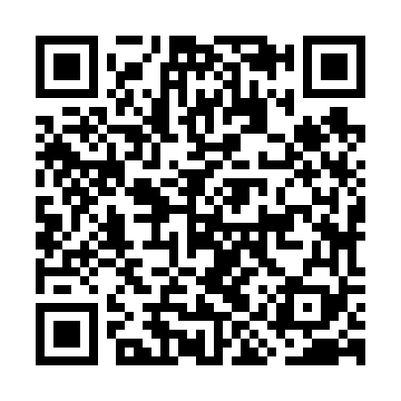 QR code for GIZ669