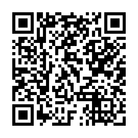 QR code for GJI382