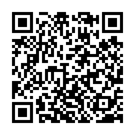 QR code for GOL619