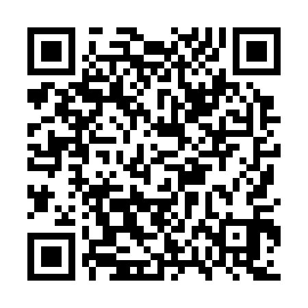 QR code for GPH311