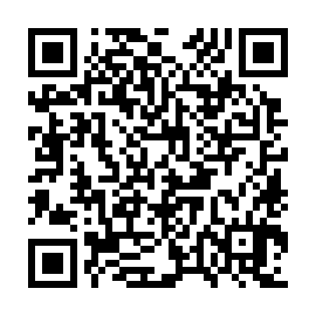 QR code for GTO384