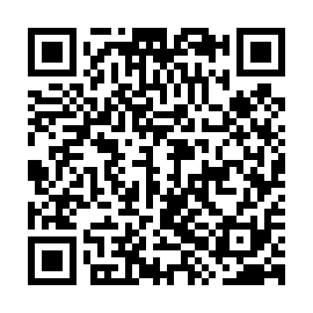 QR code for GXG411