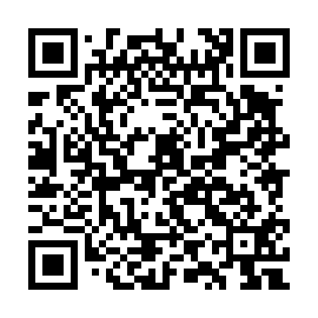 QR code for GYX411