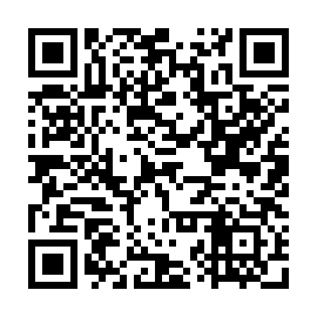 QR code for GZY383