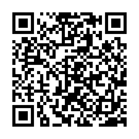 QR code for HCL333