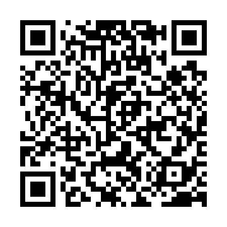 QR code for HGS738
