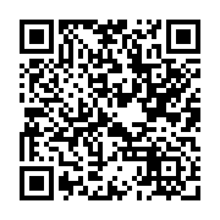 QR code for HHN313