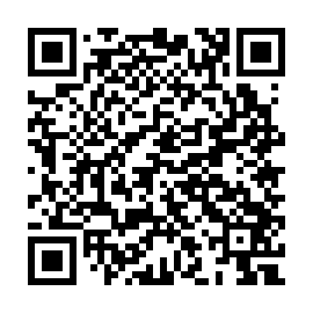 QR code for HLU343