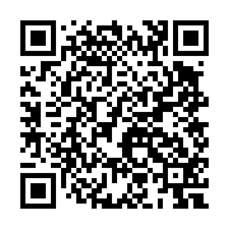 QR code for HMG413