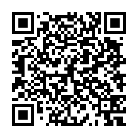 QR code for HPN439