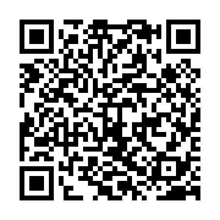 QR code for HPS038