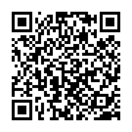 QR code for HSN439