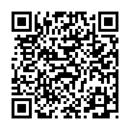 QR code for HSV919