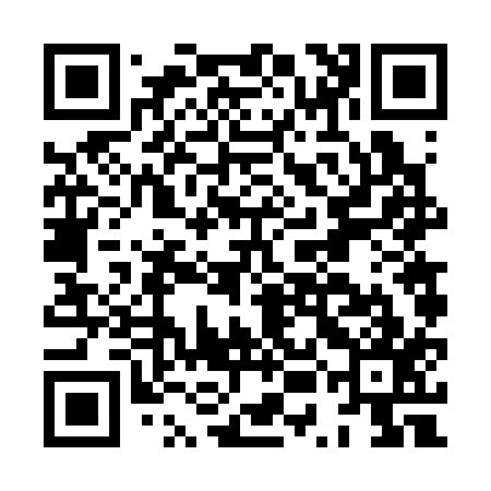 QR code for HUF317