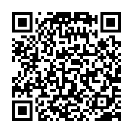 QR code for HUL398