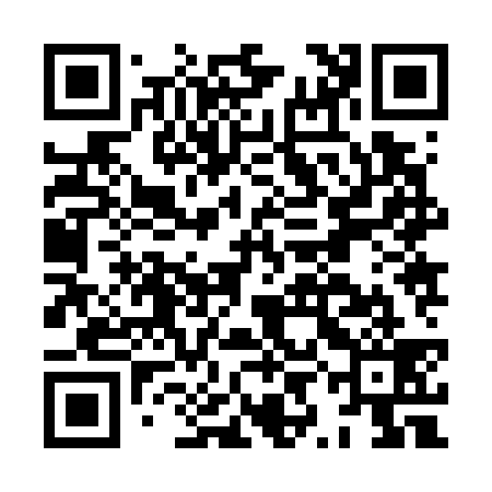 QR code for HYJ739