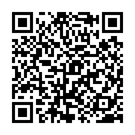 QR code for HYQ738