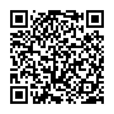 QR code for HYY299