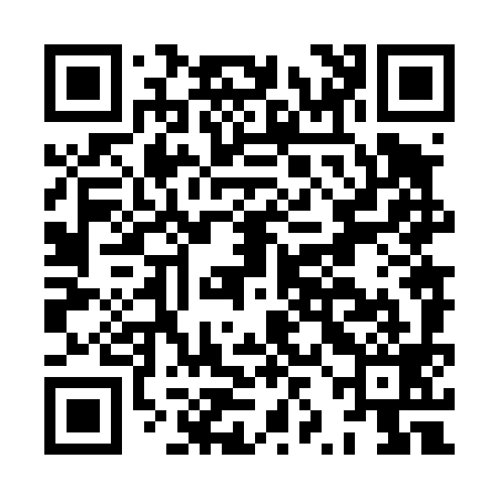 QR code for HZN499