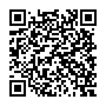 QR code for HZN505