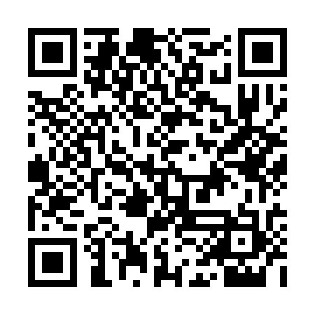 QR code for IAO333