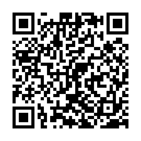 QR code for IBG533