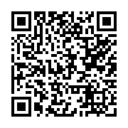 QR code for IBV238