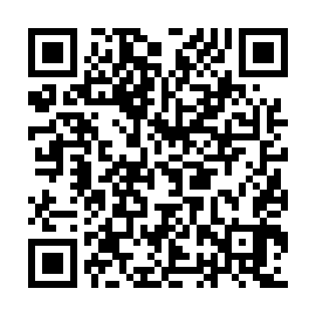 QR code for IBV543