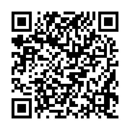 QR code for ICA976