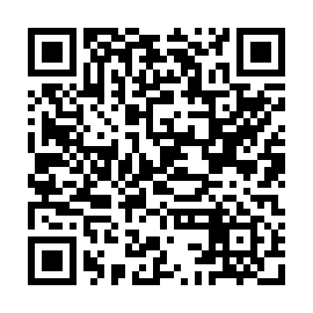 QR code for ICN219