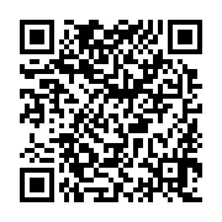 QR code for ICN394