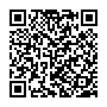QR code for IDG009