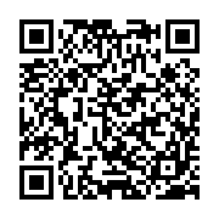 QR code for IDI197