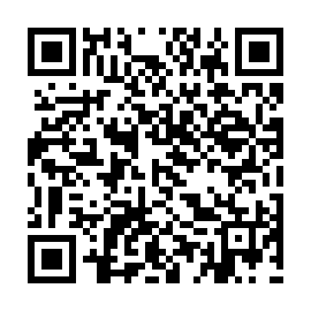 QR code for IET295