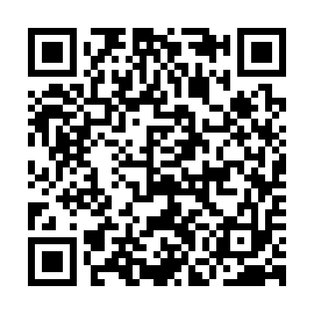QR code for IGC313