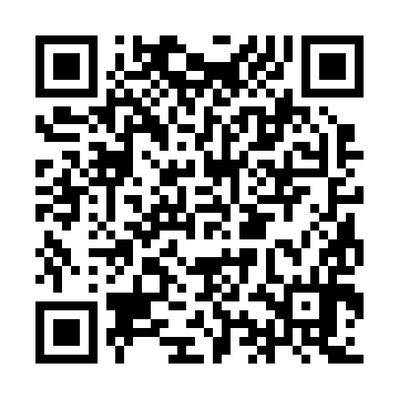 QR code for IIC294