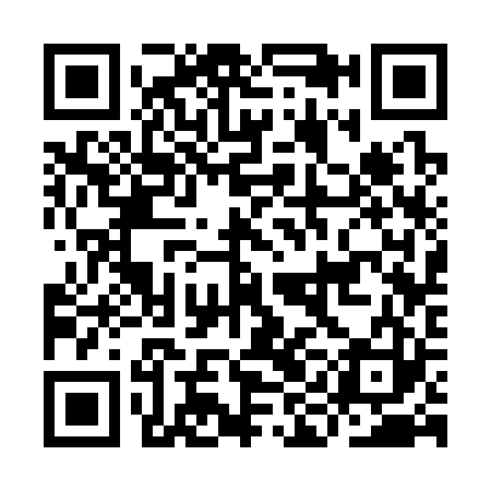 QR code for IIC323