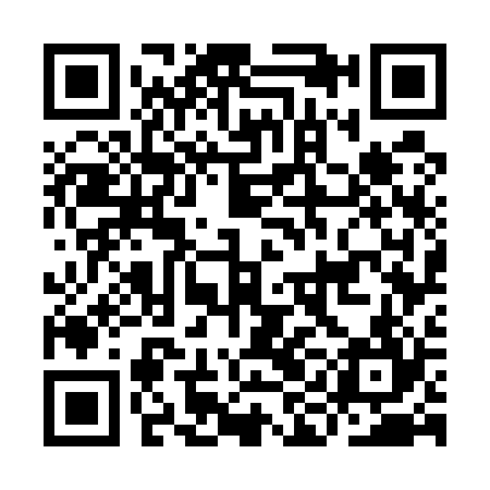QR code for IIG524