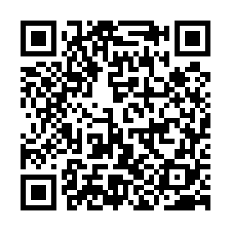 QR code for IIG568