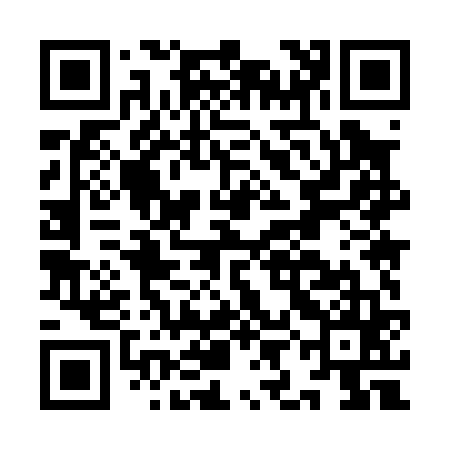 QR code for IIM065
